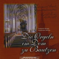 Werner / Bohme / Various - Die Orgeln Im Dom Zu Bautzen - Music CD