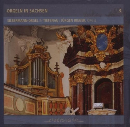 Jurgen Rieger / Various - Orgeln In Sachsen - Music CD