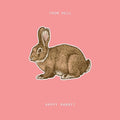 Hell,thom - Happy Rabbit - Music CD