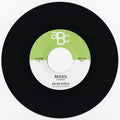 Solar Shield - Reesis / Beeturia - Vinyl Record