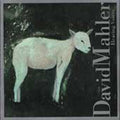 Mahler,david - Hearing Voices - Music CD