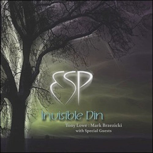Lowe & Brzezicki's Esp - Invisible Din - Music CD