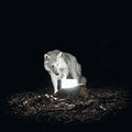 Vanishing Life - Surveillance - Music CD