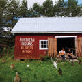 Northern Indians - No Shelter In Sight - Music CD
