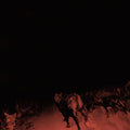 Shadow On Everything [LP] Vinyl Record