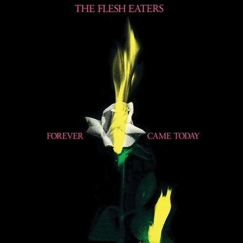 Flesh Eaters - Forever Came Today - Vinyl Record