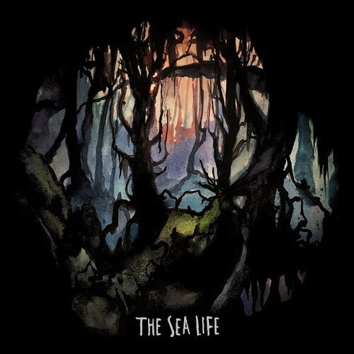 Sea Life - Sea Life - Music CD