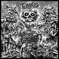 Terrorazor - Abysmal Hymns Of Disgust - Music CD