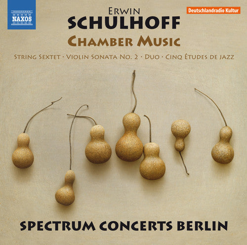 Schulhoff / Brovtsyn / Sokolov - Schulhoff: Chamber Music - Music CD