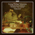 Telemann / Hofmusik / Brunner - Telemann: Chalumeaux & Salterio - Music CD