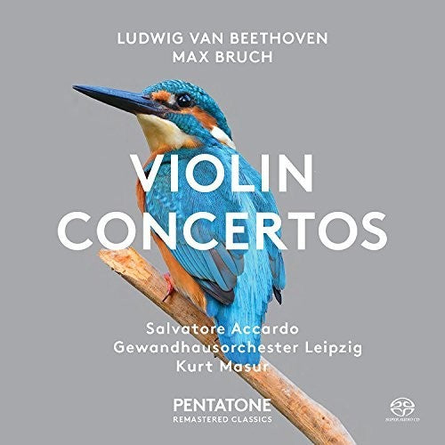 Beethoven / Bruch / Accardo / Leipzig / Masur - Beethoven & Bruch: Violin Concertos - Super Audio CD