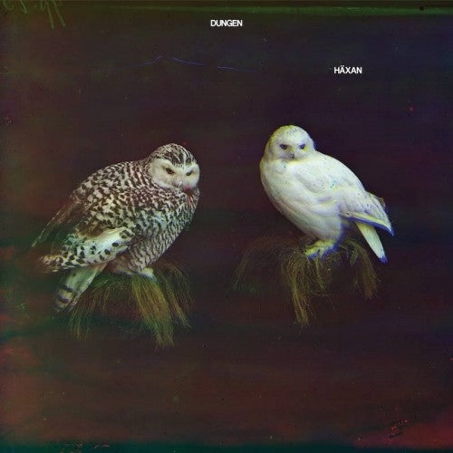 Dungen - Haxan - Music CD