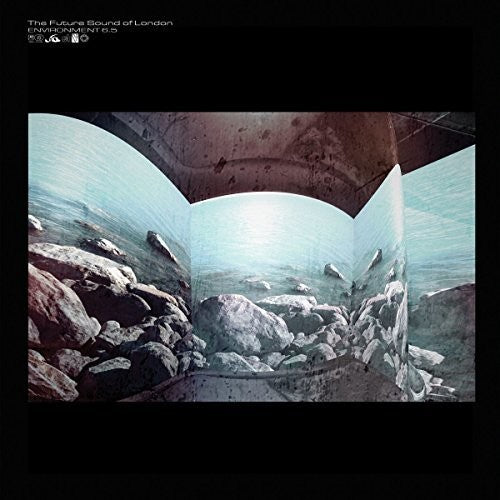 Future Sound Of London - Environment 6.5 - Music CD