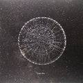 Alma - Alma - Vinyl Record