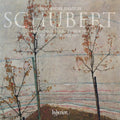 Hamelin,marc Andre - Schubert: Piano Sonata & Impromptus - Music CD