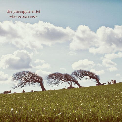 Pineapple Thief - What We Have Sown - Music CD