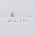 Opus Neige: Gregory Charles Et Ses Virtuoses / Var - Opus Neige: Gregory Charles Et Ses Virtuoses / Var - Music CD