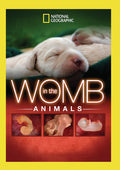 In The Womb: Animals - In The Womb: Animals - DVD
