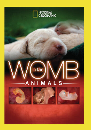 In The Womb: Animals - In The Womb: Animals - DVD