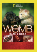 In The Womb: Cats & Dogs - In The Womb: Cats & Dogs - DVD