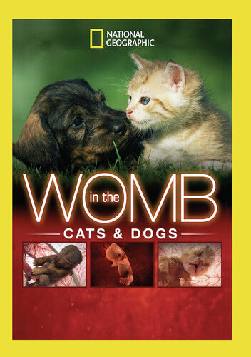 In The Womb: Cats & Dogs - In The Womb: Cats & Dogs - DVD