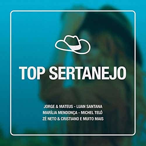 Top Sertanejo / Various - Top Sertanejo / Various - Music CD