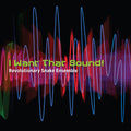 Field / Revolutionary Snake Ensemble - I Want That Sound - Music CD