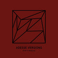 Adesse Versions - Push It Along - Vinyl Record