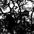 Liberman,jeffery - Synergy - Vinyl Record
