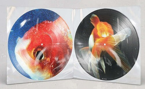Vince Staples - Big Fish Theory [Picture Disc 2LP]