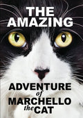 Amazying Adventure Of Marchello The Cat - Amazying Adventure Of Marchello The Cat - DVD