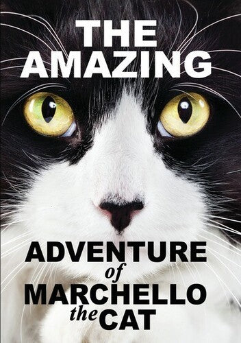 Amazying Adventure Of Marchello The Cat - Amazying Adventure Of Marchello The Cat - DVD