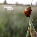 Kohalik Ja Kohatu 2 / Various - Kohalik Ja Kohatu 2 / Various - Music CD