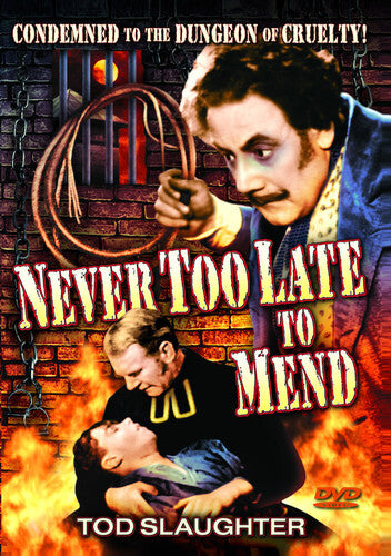Never Too Late To Mend - Never Too Late To Mend - DVD