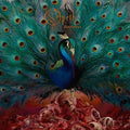 Opeth - Sorceress - Music CD