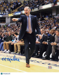 Michael Malone Signed 8x10 Photo PSA Denver Nuggets