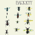 Barrett,syd - Barrett - Music CD