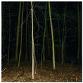 Fixed Rope Ii [LP] Vinyl Record