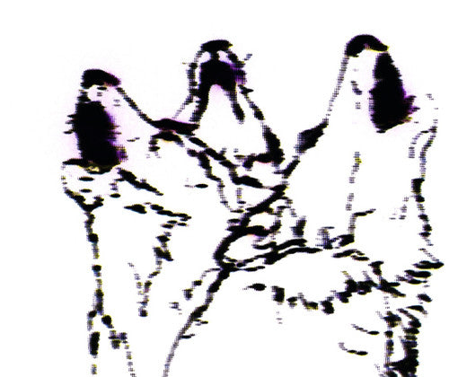 Fjaak - Wolves / Pray For Berlin - Vinyl Record