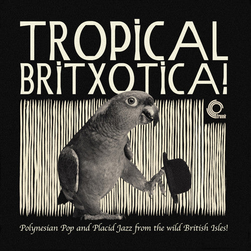 Tropical Britxotica Polynesian Pop & Placid / Var - Tropical Britxotica Polynesian Pop & Placid / Var - Vinyl Record