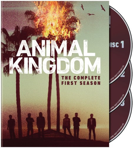 Animal Kingdom: Complete First Season - Animal Kingdom: Complete First Season - DVD