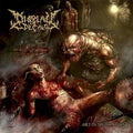 Display Of Decay - Art In Mutilation - Music CD