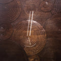Kang,eyvind & Kenney,jessika - Reverse Tree - Vinyl Record