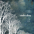 Wintersleep - Wintersleep - Vinyl Record