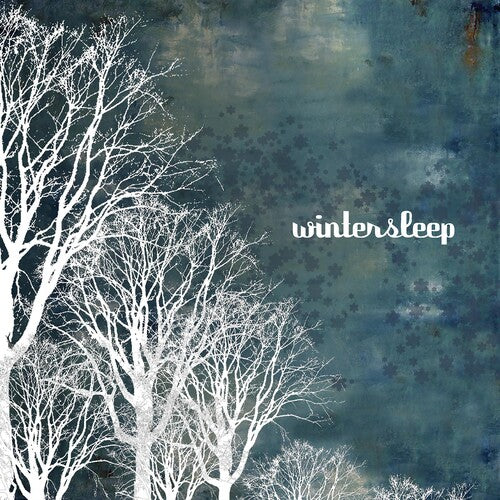 Wintersleep - Wintersleep - Vinyl Record