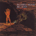 Big Sleep - Bluebell Wood - Music CD