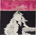 Lowlands - Erie - Vinyl Record