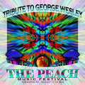 Golden Gate Wingmen - Peach Music Festival 2016 - Music CD