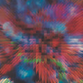 Elph Vs Coil - Worship The Glitch - Vinyl Record