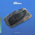 Bluestone,iian - Scars - Music CD
